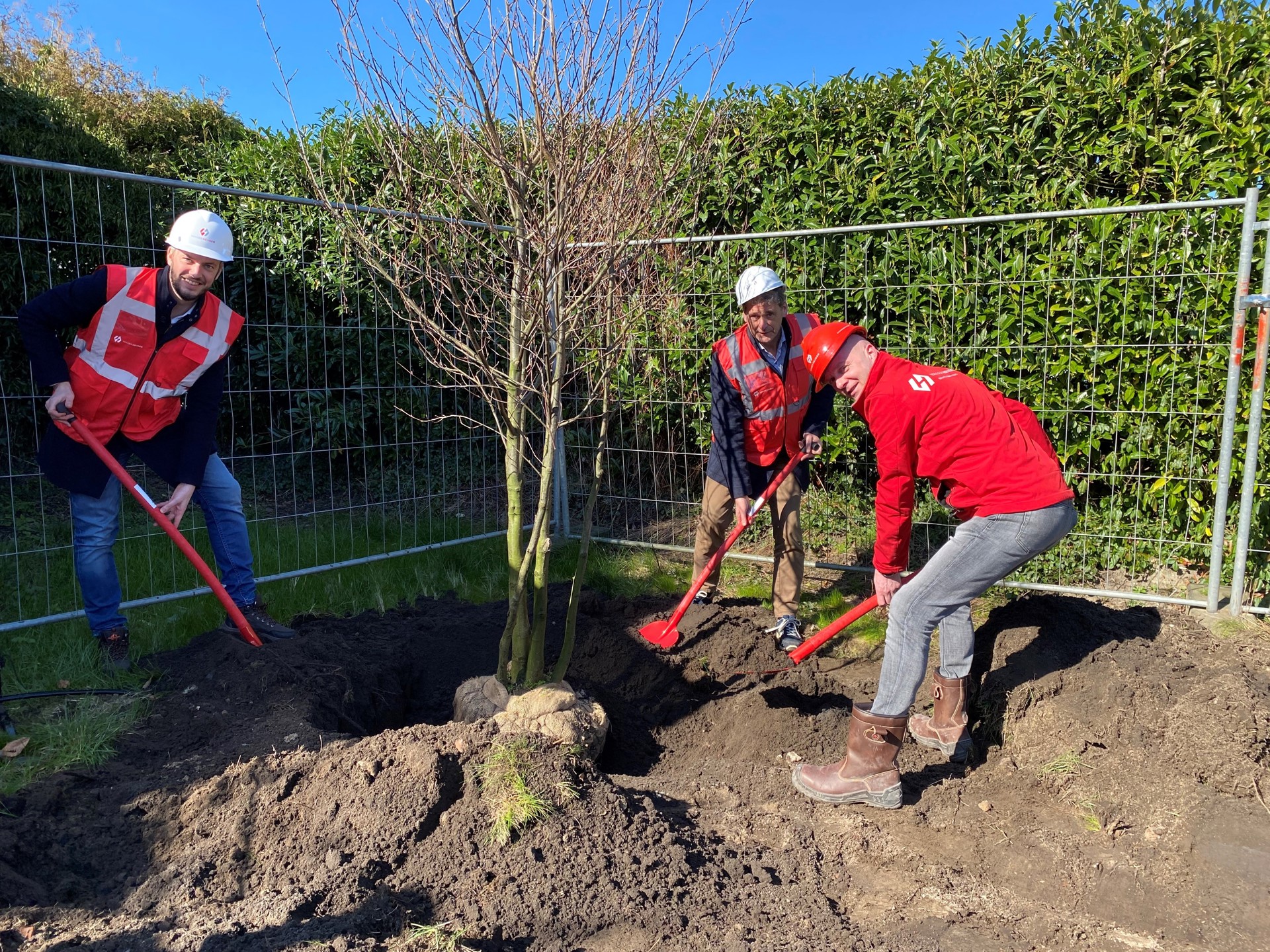 Startmoment Iepenlaan Planten Boom